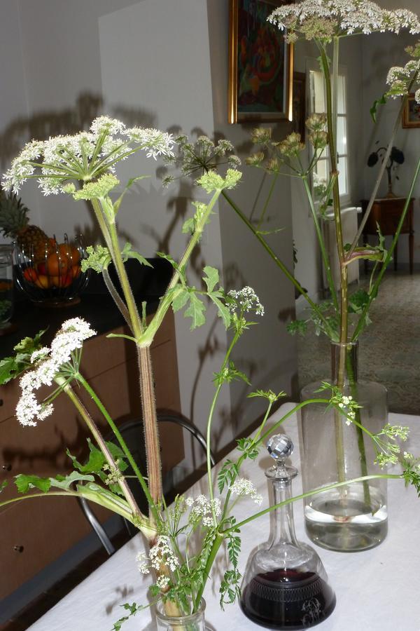 Le Petit Matin Bed & Breakfast Bayeux Exterior photo